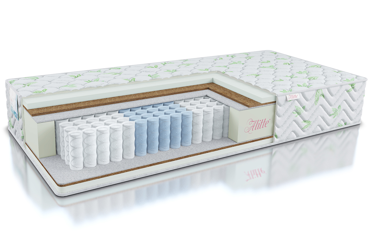 Alitte Classicus Ingres TFK M-26-K